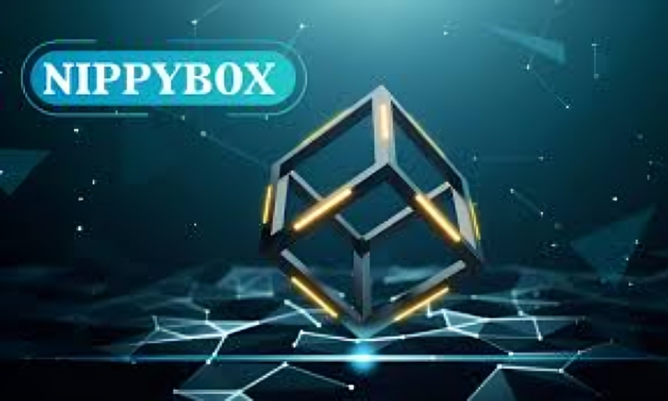 NippyBox Alternative: Top Solutions for Secure and Efficient Cloud Storage in 2025